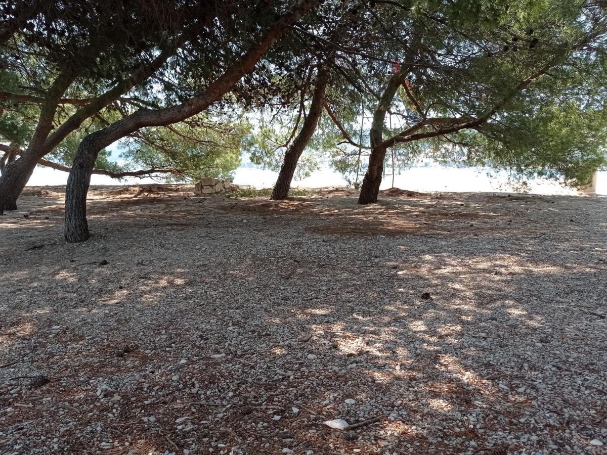 Studio Apartment With Balcony Trogir Zewnętrze zdjęcie