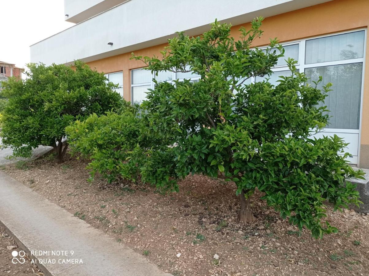 Studio Apartment With Balcony Trogir Zewnętrze zdjęcie